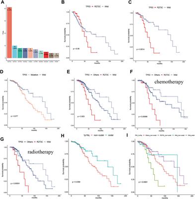 TP53 R273C Mutation Is Associated With Poor Prognosis in LGG Patients